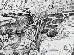 8. 물녘의 슴벅임