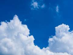 1111_정지율_수학여행_신청서.hwpx