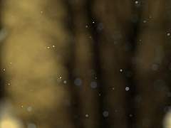 환한 빛을 좇는 나비를 따라가보세요