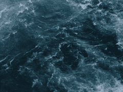 아기예수탄신일