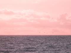 나날이 꿈꾸는 것은