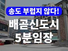 배곧신도시 임장기 (호재정리, 미래전망까지)