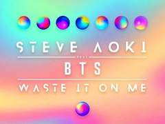 Waste It On Me (feat. BTS)-Steve Aoki