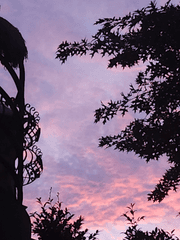 [플레이브] Hello