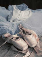 시라토리 링고의_