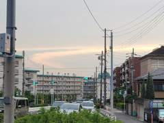 D+156 사랑하는 여동생이랑 통화할만큼