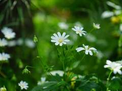 일찍 어른이 되었던 그 아이는