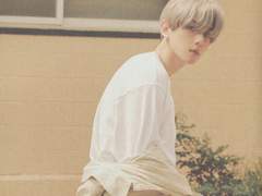 다른 동네는 어쩌다 사무새가 생겼나.