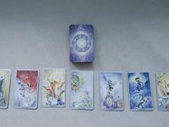 [지우견]타로 해석