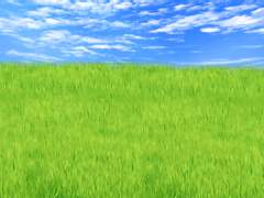 모를 심은 논 브러쉬 (클립스튜디오)