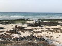 [레그리]Let’s Battle!