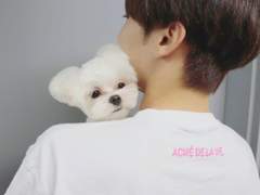 뿌사원과 홈데이트