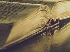 어느 곳에도 속하지 않는