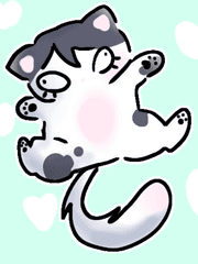 내공 100 고양이가 너무 지랄맞아요 정상인가요?