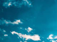 천일월 / 1학년 / 3반