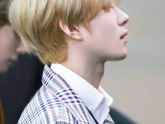 XXXX 센티넬의 경우