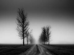 짓이겨진 들풀이라도 상관없다.