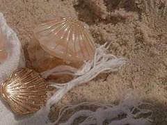 오오쿠라 마이키_27_야쿠자