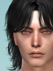 사대악인 심즈 일기