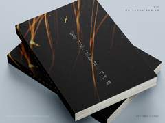 010 밤을 가로지르는 섬광에 대해