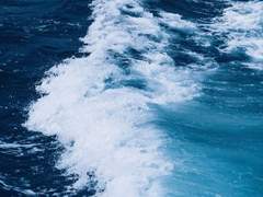 나의 바다에는 이제 네가 산다.