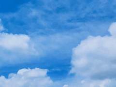 10. 그거 사망플래그임.