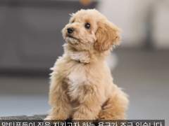 성공의 소리 0~1