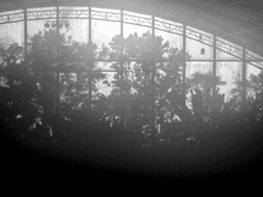 S2#3. Panic! At The Zoo