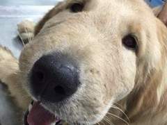 여드름 하나 잘못 짯다가 응급실 간 썰