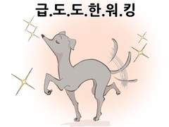 반려견툰 #01.관종
