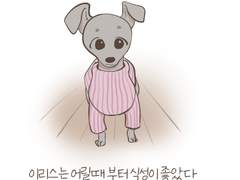 반려견툰 #02.식탐