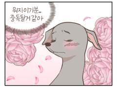 반려견툰 #03.식분증