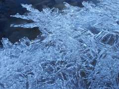 이능력이 이길까 괴물들이 이길까 궁금하지 않아?