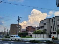 D+157 사이렌에 미쳐있는 워홀러🔥