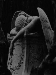 언젠가의 향수(鄕愁)