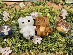 파트타임 파트너 모펀 후기