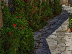 운율과 정서, 호흡과 동화하는 감성적 나