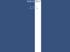 [솔부]Haven’t you ever see the ocean look so bleu?