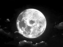 모든 이들의 소원을 들어주는 가장 맑은.