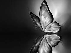 Oh, ■■■■■■■■!