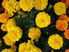 얼마든지 기다릴 수 있어요.