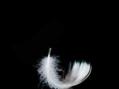 █▚▚을 잃어버린 █▛가, ▚▛█는 ▚ █▜▙▜에게-.