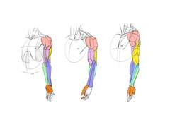 2023년 7월 29일 (토) <해부학>