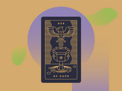 [Monthly Tarot] 7월 25일