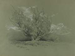 내 사랑이 나를