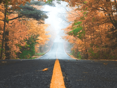 미국급등주를 꼭 해야하는 이유