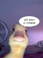 똥만이의 공부 다이어리