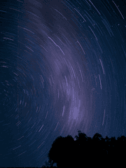 [붕괴:스타레일/붕스타]은하열차 생존일지