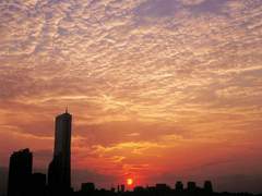 폭식증 극복하고 행복 되찾은 썰/폭식증 극복 팁..../우울증,자기혐오 극복