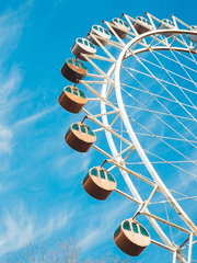 내가 보고 싶은거